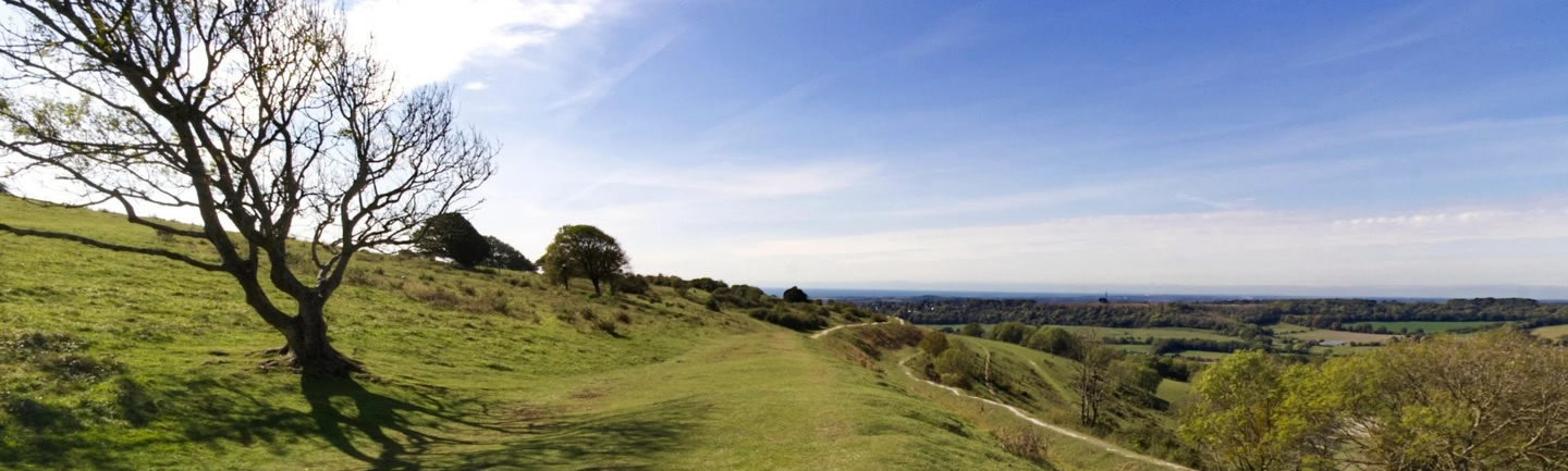 Cissbury Ring